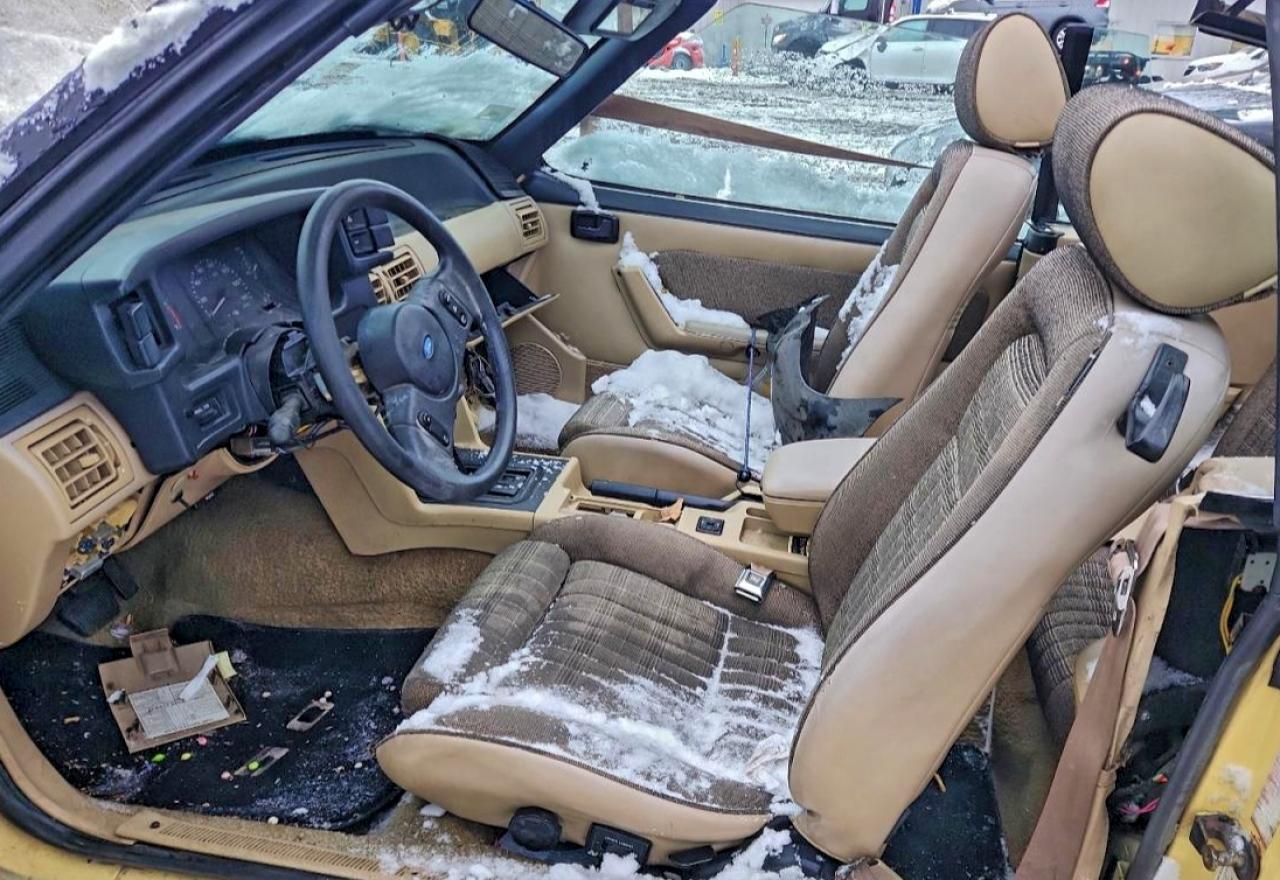 1989 Ford Mustang Lx VIN: 1FABP44EXKF226781 Lot: 95532825