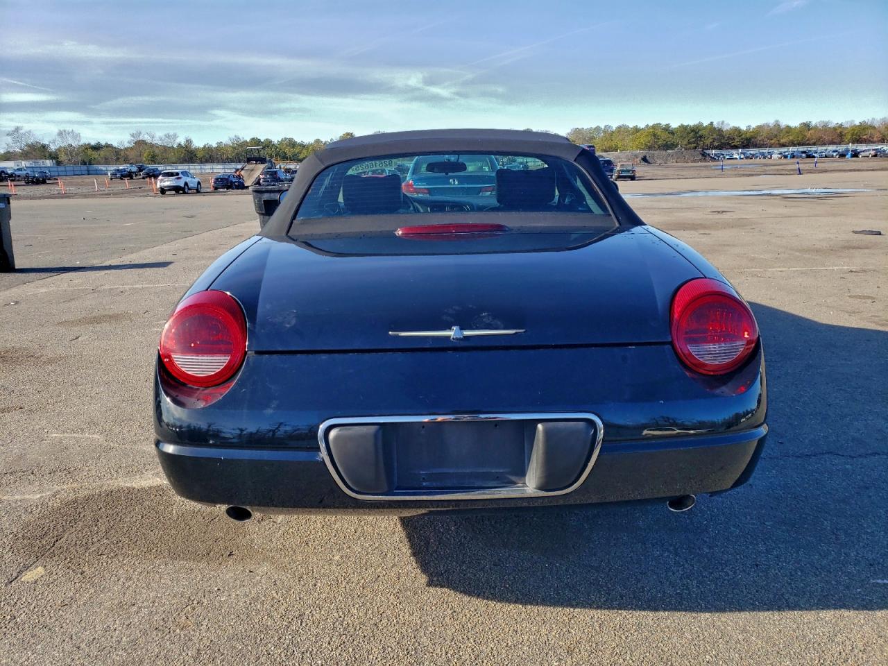 2002 Ford Thunderbird VIN: 1FAHP60A22Y118362 Lot: 92516625