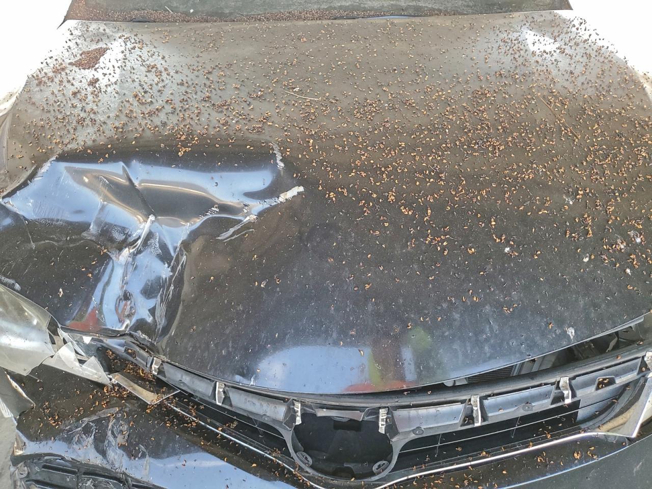 2015 Toyota Avalon Xle VIN: 4T1BK1EB0FU143563 Lot: 95901655