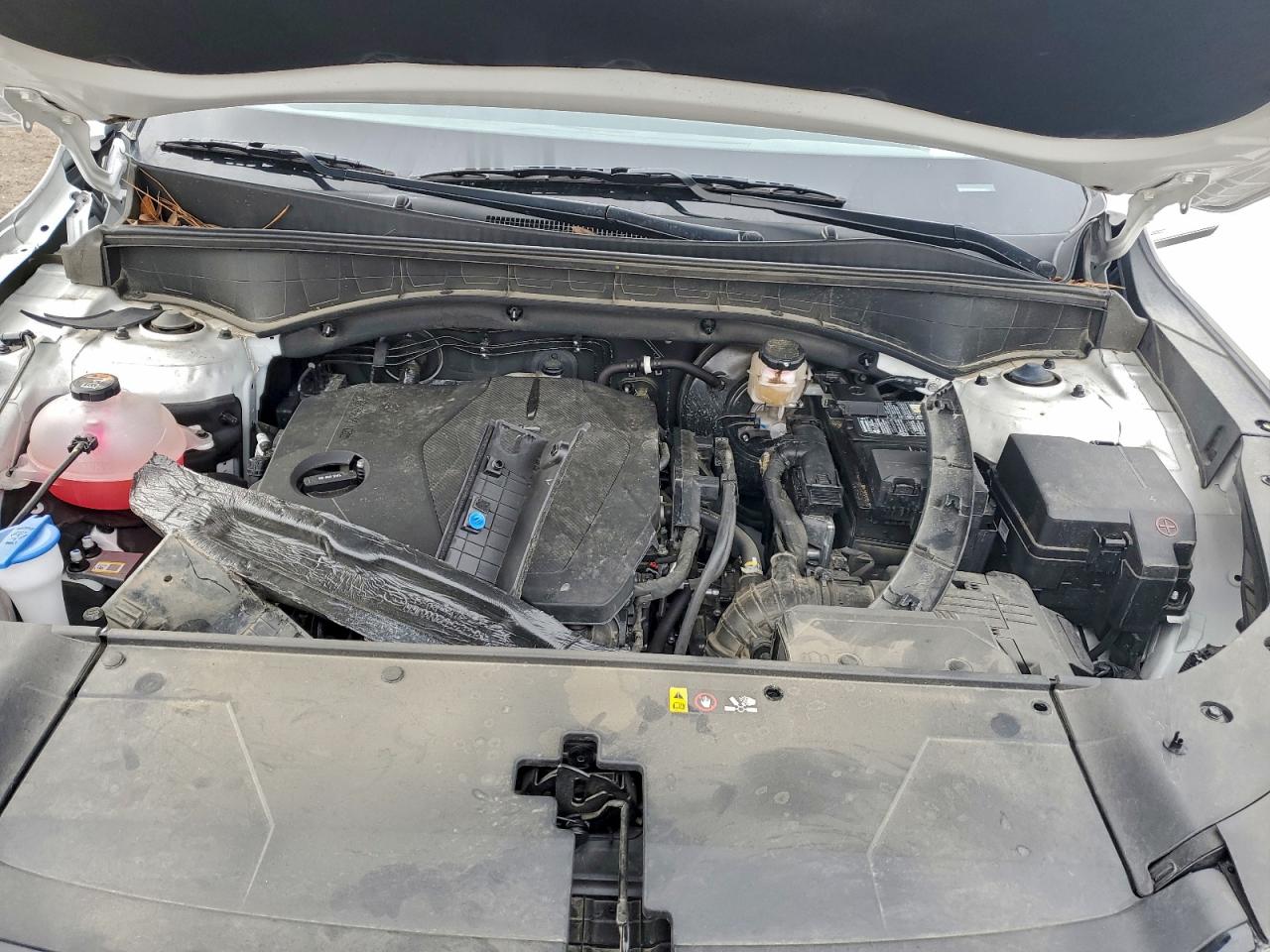 2025 Kia Sorento Lx VIN: 5XYRG4JC8SG309599 Lot: 94854635