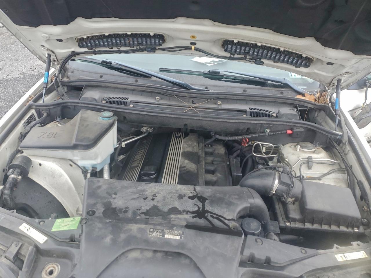 Фото: 5UXFA13515LY10150