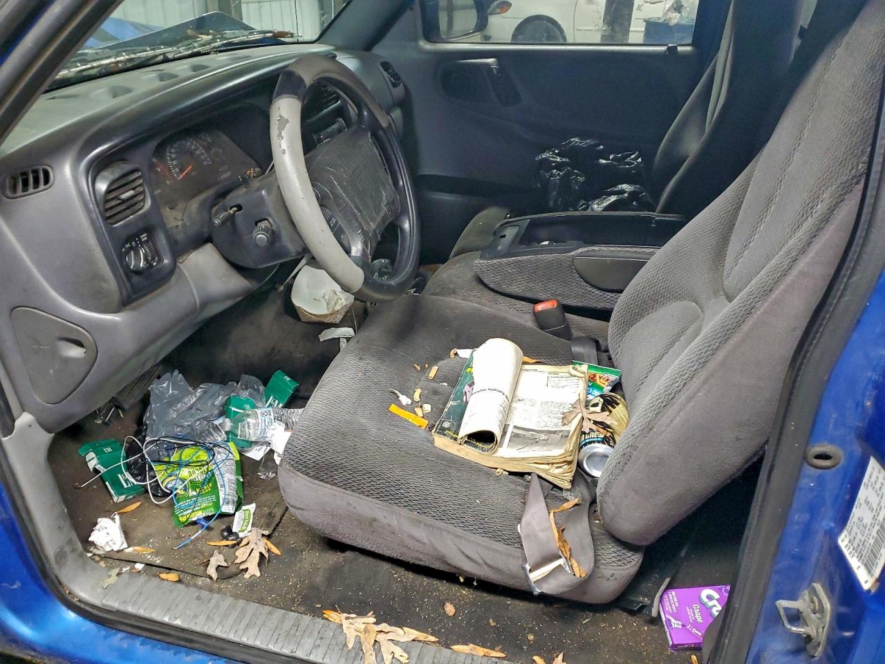 1999 Dodge Dakota VIN: 1B7FL26X4XS284720 Lot: 95535445