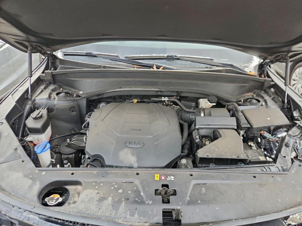 2021 Kia Telluride Ex VIN: 5XYP3DHC8MG165323 Lot: 94061495