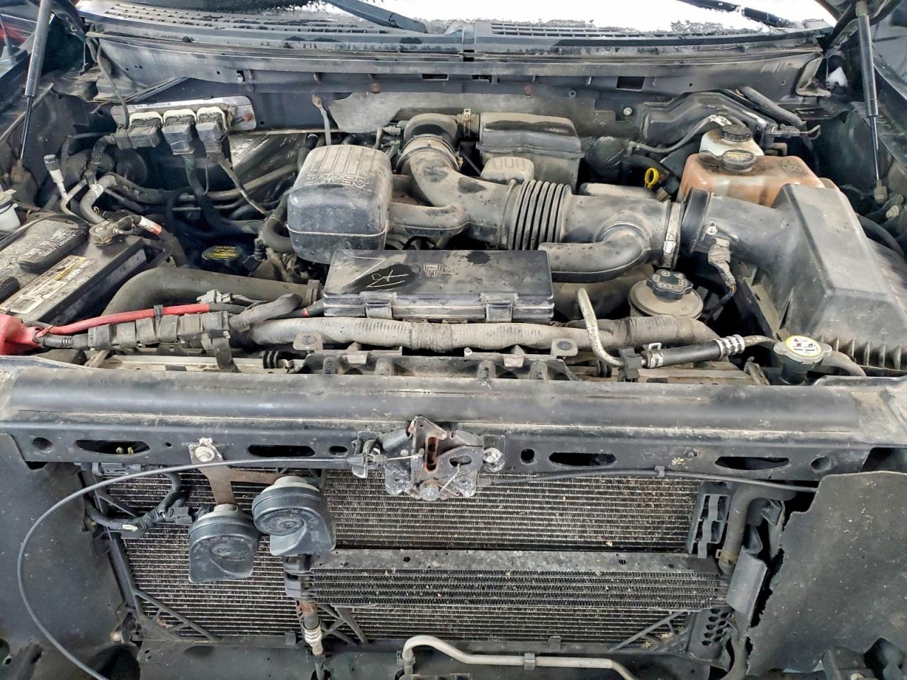 2010 Ford F150 Supercrew VIN: 1FTFW1EV9AKE74408 Lot: 96959575