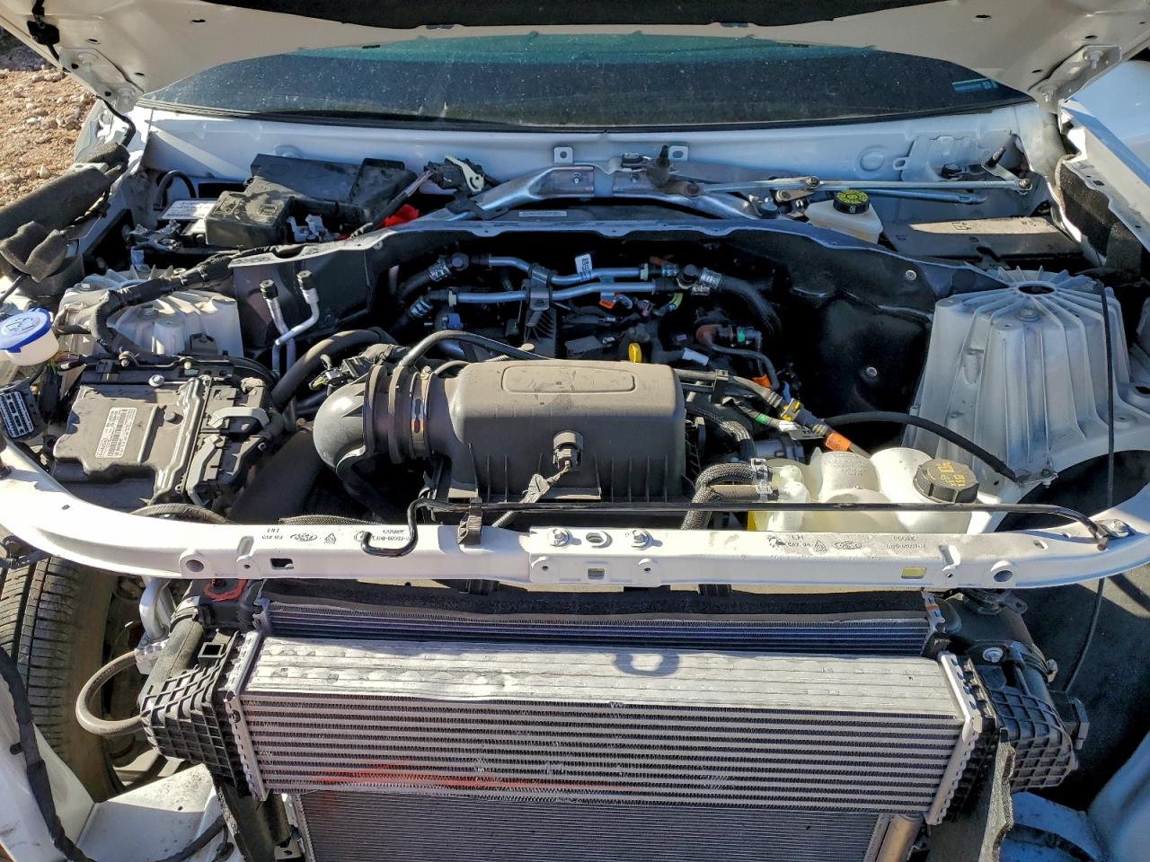 2024 Ford Explorer Xlt VIN: 1FMSK8DH2RGA87837 Lot: 95872375