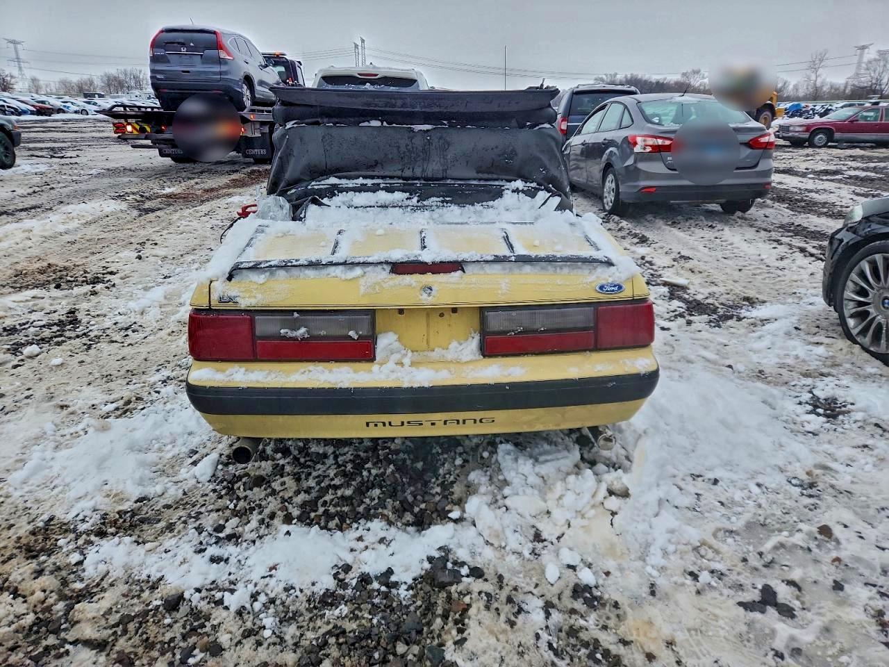 1989 Ford Mustang Lx VIN: 1FABP44EXKF226781 Lot: 95532825