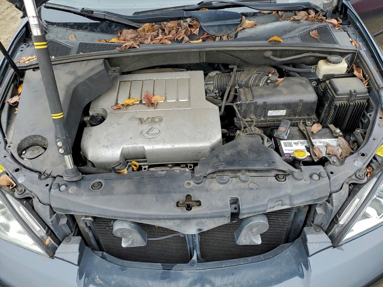 2007 Lexus Rx 350 VIN: 2T2GK31U27C010150 Lot: 97226485