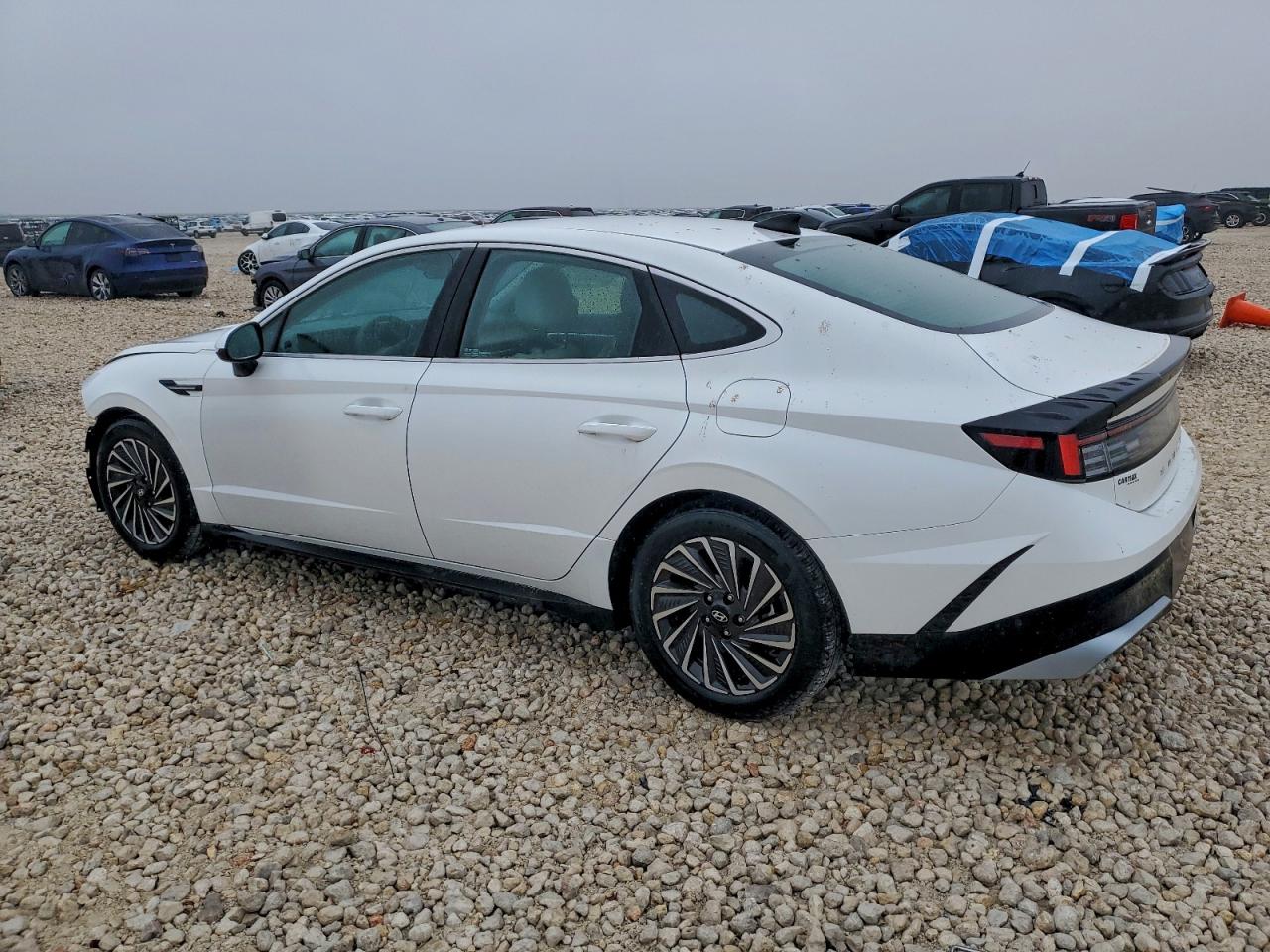 2024 Hyundai Sonata Hybrid VIN: KMHL34JJ9RA099164 Lot: 95467945