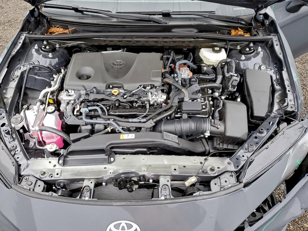 2025 Toyota Camry Xse VIN: 4T1DAACK8SU187318 Lot: 95272135