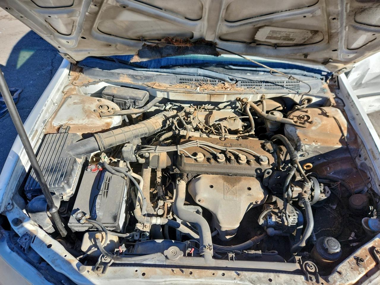 2000 Honda Accord Dx VIN: 1HGCF8648YA153883 Lot: 97964155