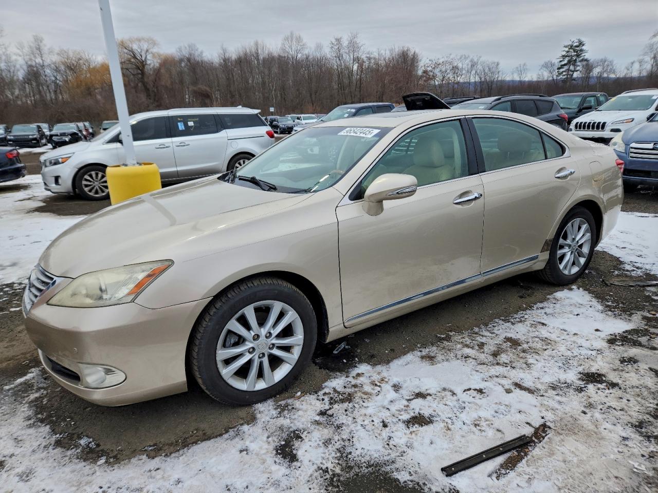 2010 Lexus Es 350 VIN: JTHBK1EG5A2387860 Lot: 96542445