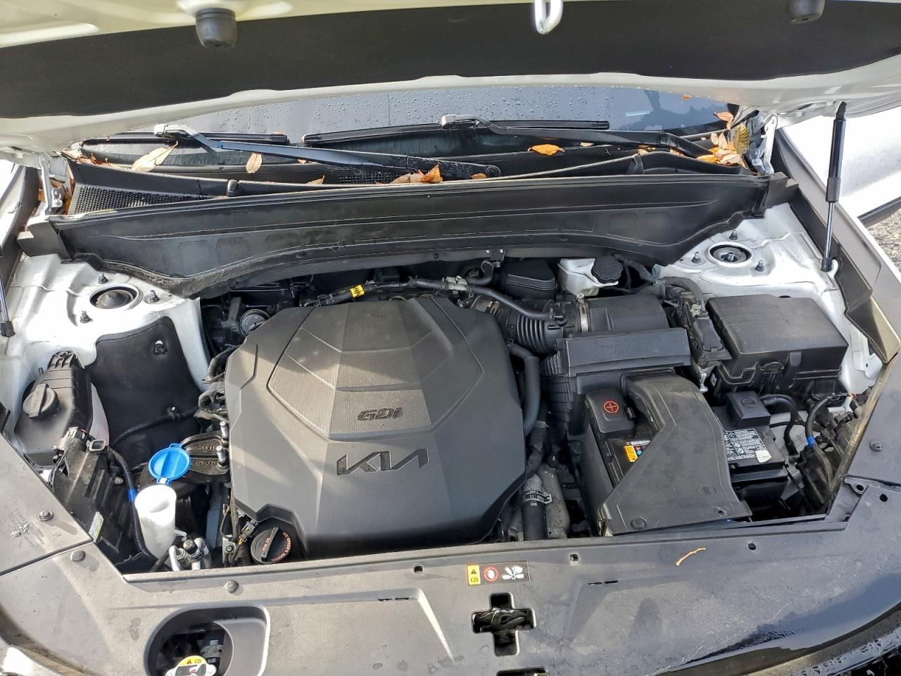 2022 Kia Telluride Sx VIN: 5XYP5DHC1NG272452 Lot: 96786205