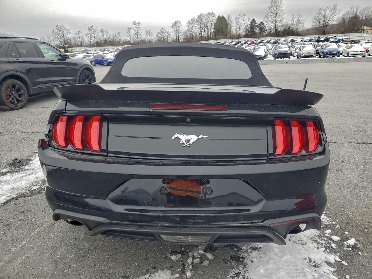 2020 Ford Mustang VIN: 1FATP8UH1L5135685 Lot: 95891185