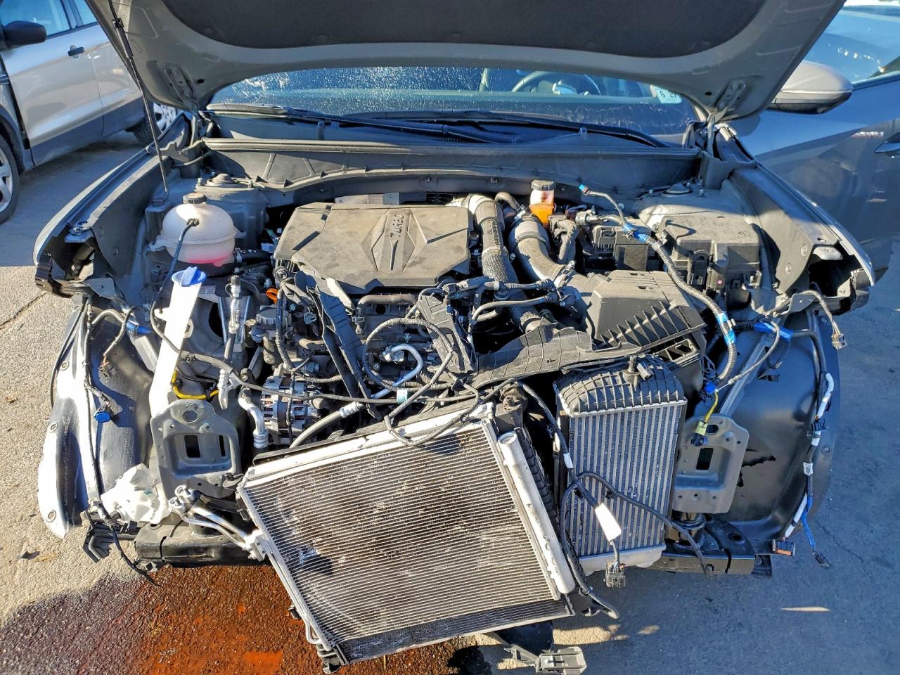 2024 Hyundai Santa Cruz Limited VIN: 5NTJEDDF7RH118186 Lot: 97158865