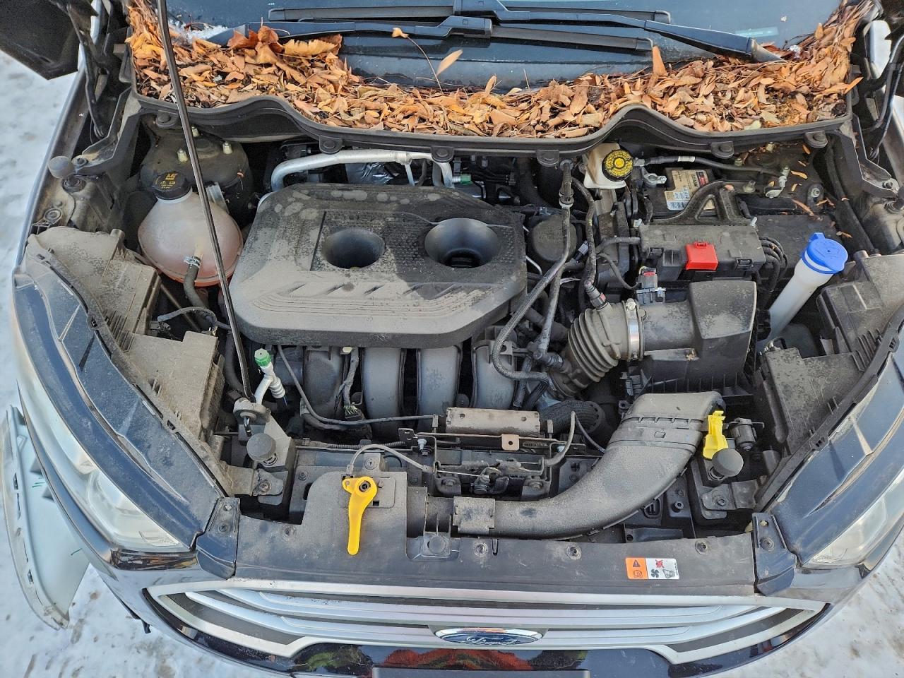 2019 Ford Ecosport Se VIN: MAJ6S3GL8KC268436 Lot: 97312965