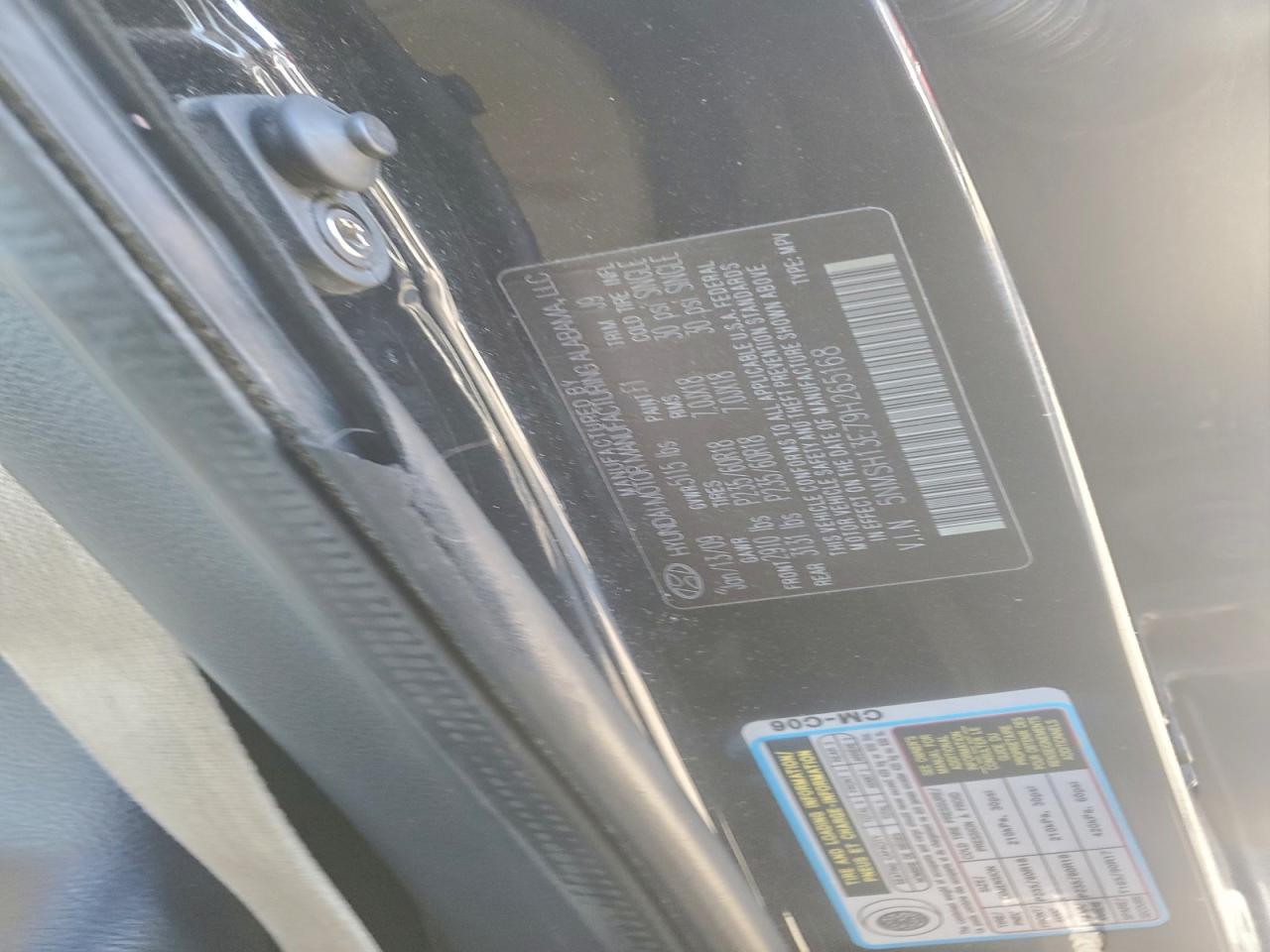 2009 Hyundai Santa Fe Se VIN: 5NMSH13E79H265168 Lot: 98075475