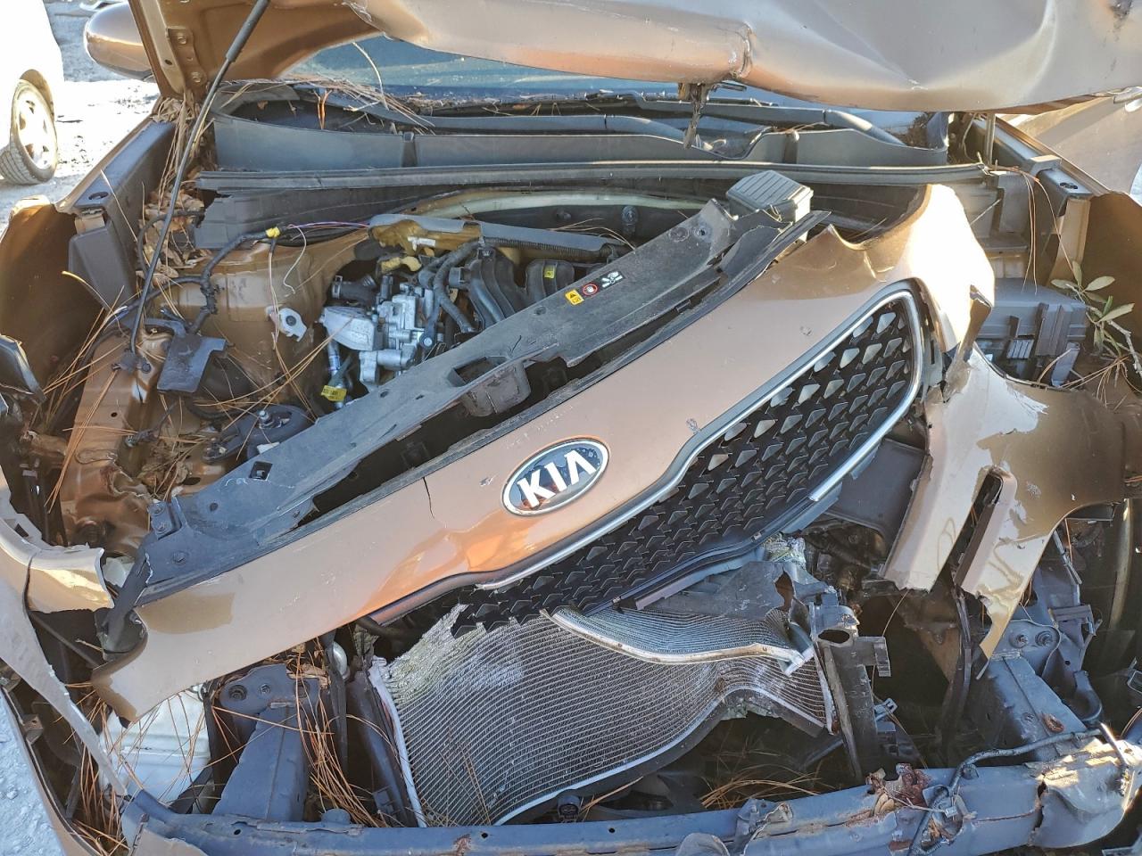 2017 Kia Sportage Lx VIN: KNDPM3AC2H7291391 Lot: 96977855