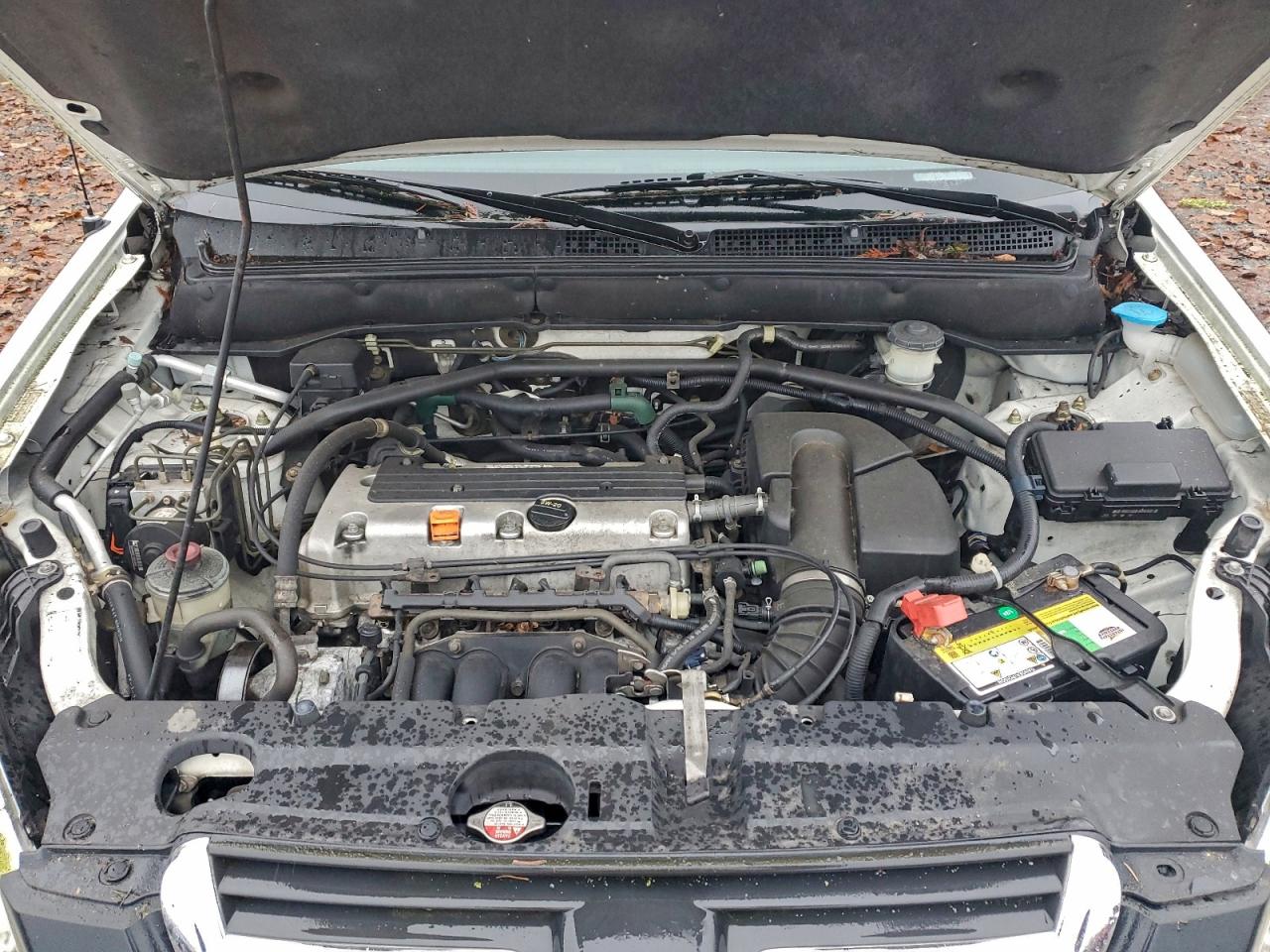 2003 Honda Cr-V Ex VIN: JHLRD78813C029236 Lot: 95315605