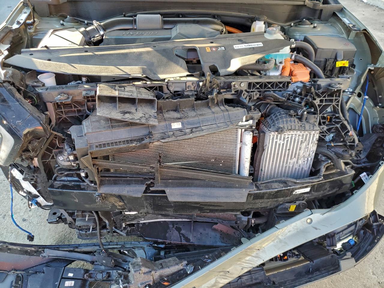 2024 Kia Sportage X-Line Prestige VIN: KNDPZDDH5R7143350 Lot: 94268255