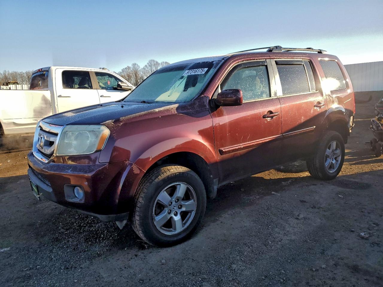 2011 Honda Pilot Ex VIN: 5FNYF4H48BB055932 Lot: 97316175