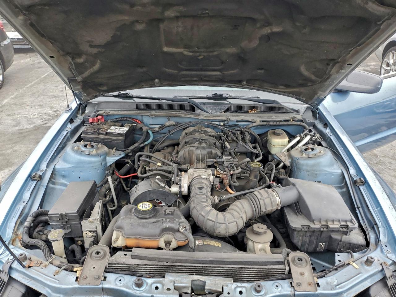 2005 Ford Mustang VIN: 1ZVFT80N555107564 Lot: 96603535