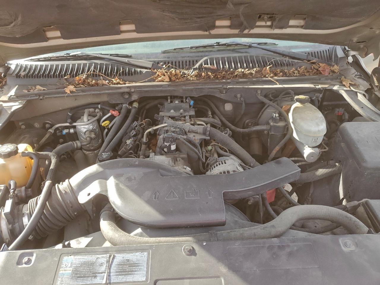 2003 Chevrolet Tahoe K1500 VIN: 1GNEK13Z73R107571 Lot: 95852505