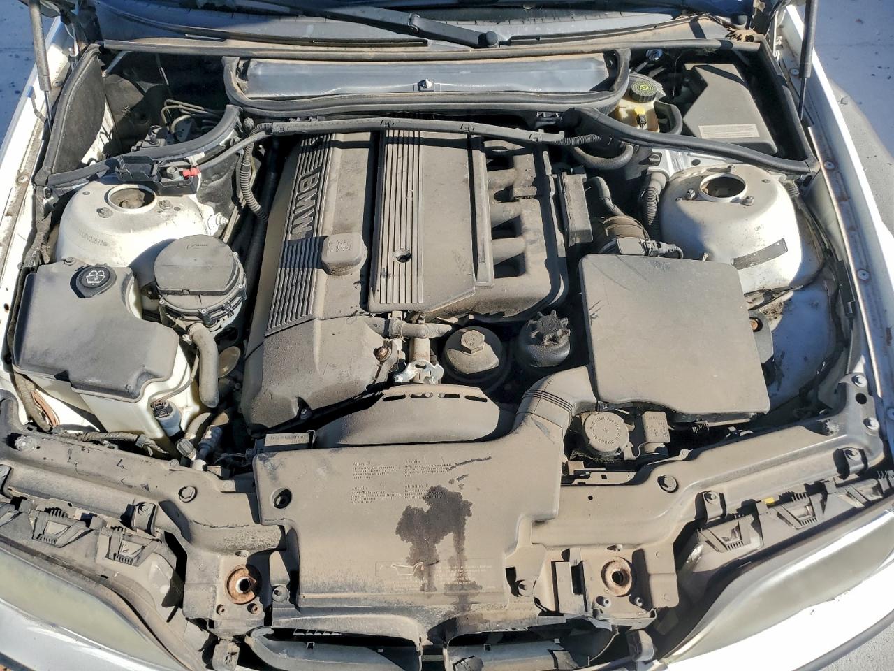 Фото: WBAEW53413PG23073