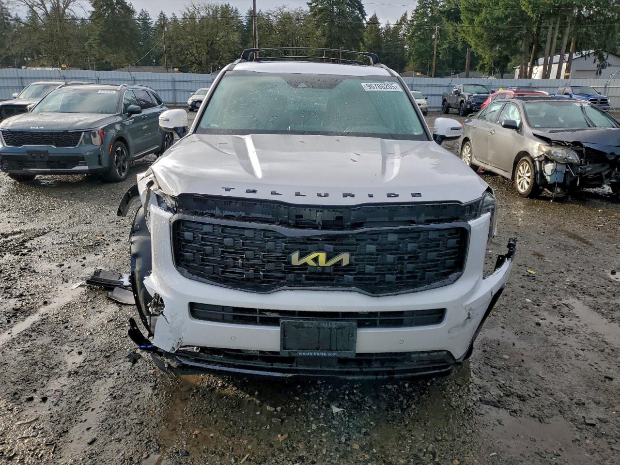 2022 Kia Telluride Sx VIN: 5XYP5DHC1NG272452 Lot: 96786205