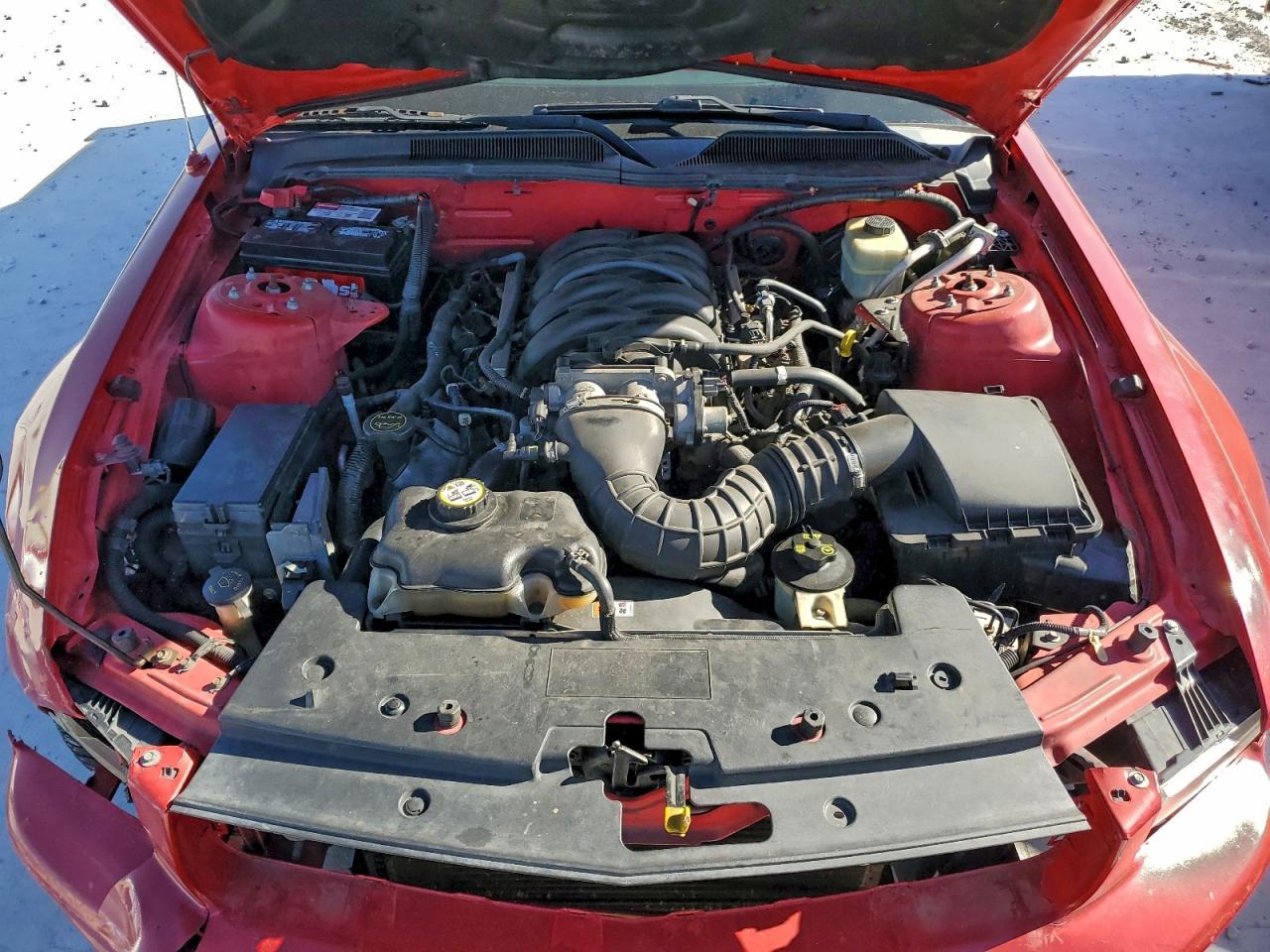 2005 Ford Mustang Gt VIN: 1ZVHT85H255194691 Lot: 96174155