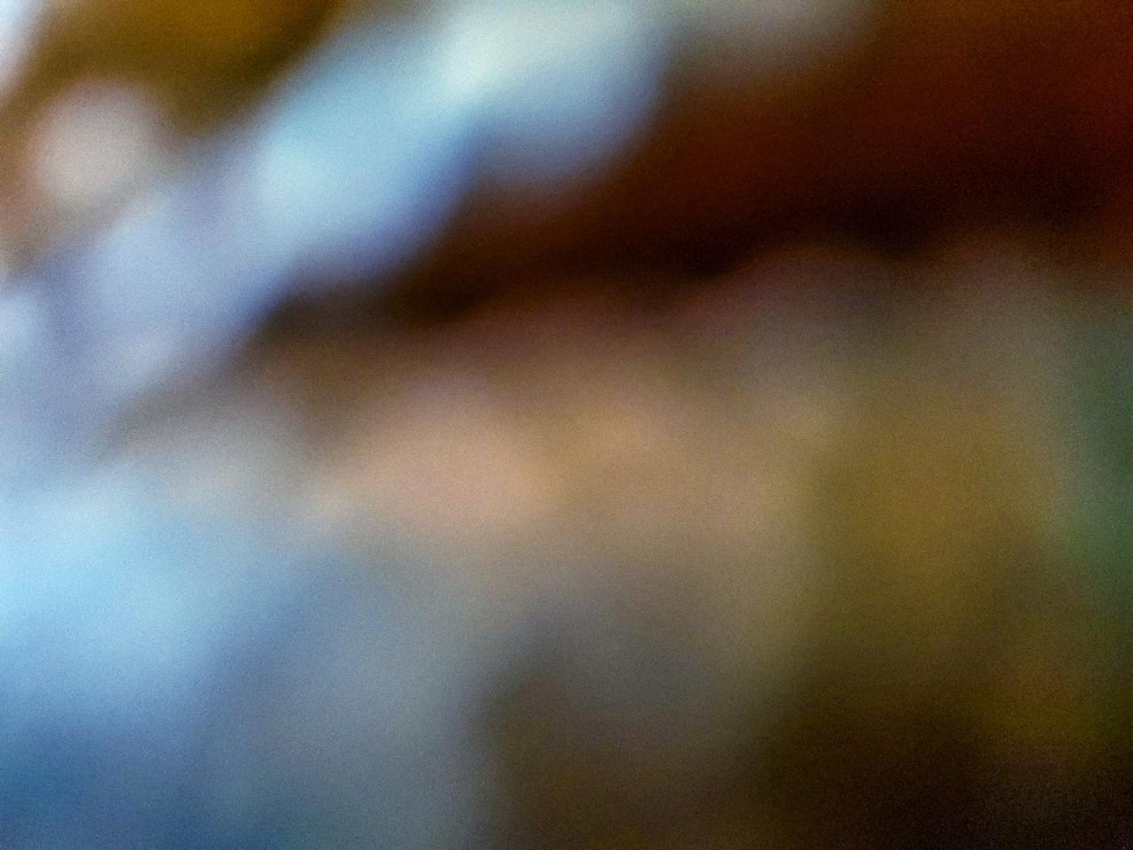 2013 Volkswagen Tiguan S VIN: WVGBV3AX6DW596415 Lot: 95999515