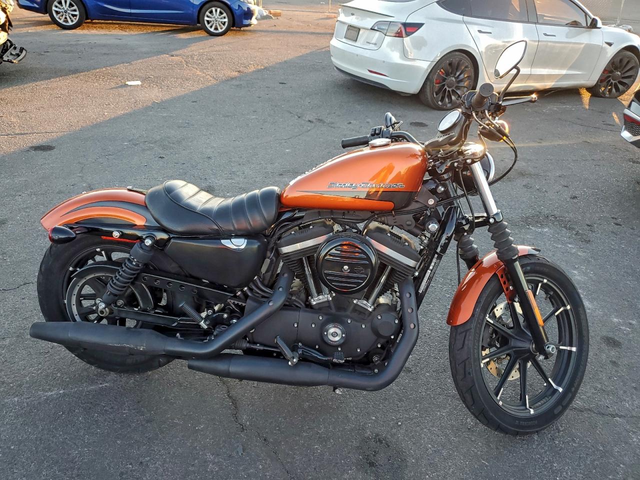 2020 Harley-Davidson Xl883 N
