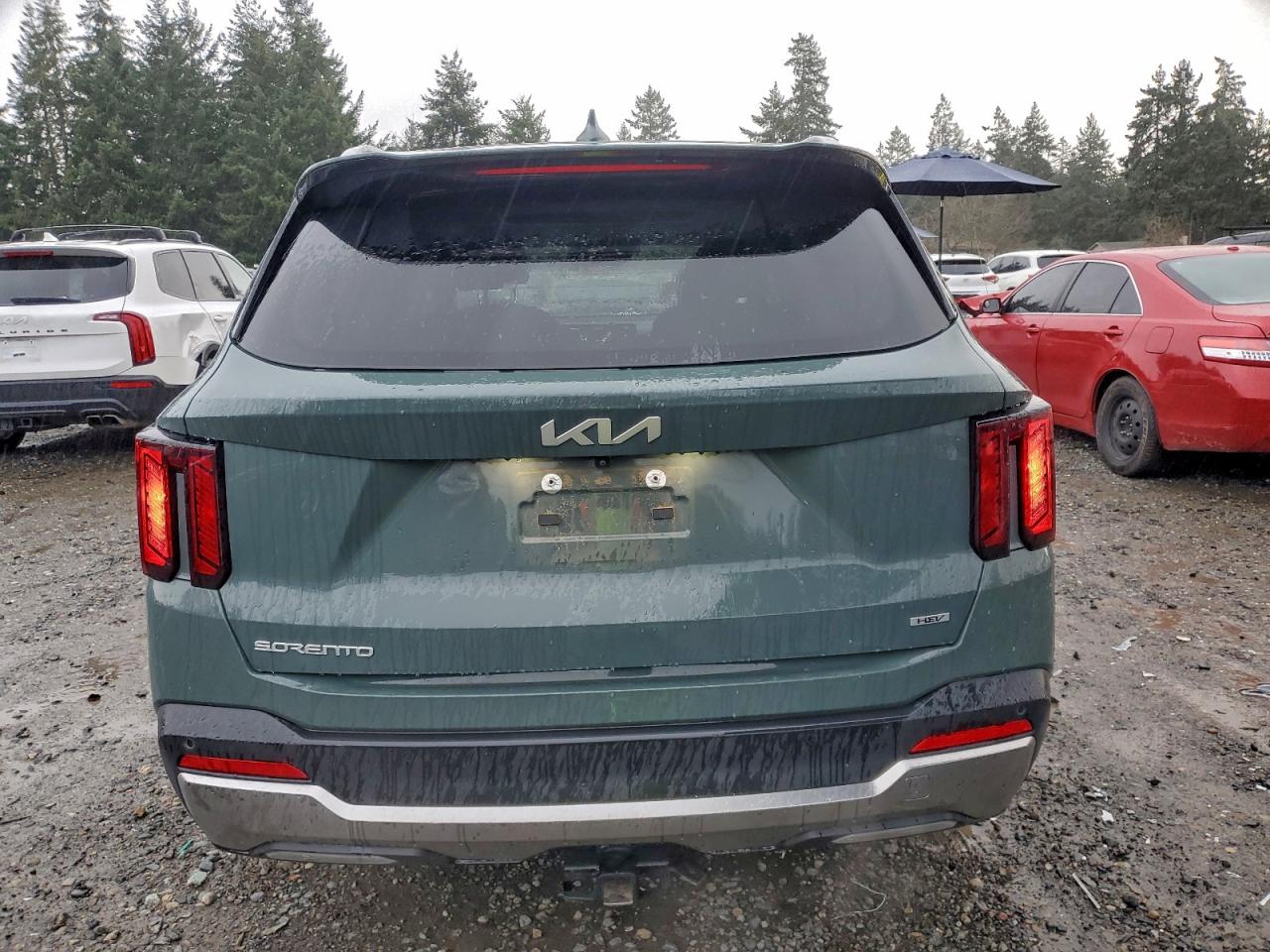 2025 Kia Sorento Ex VIN: KNDRHDJG1S5286899 Lot: 97619705