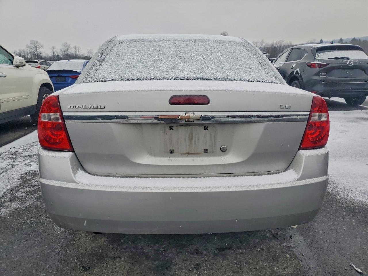 2006 Chevrolet Malibu Ls VIN: 1G1ZS51F16F298848 Lot: 96124525