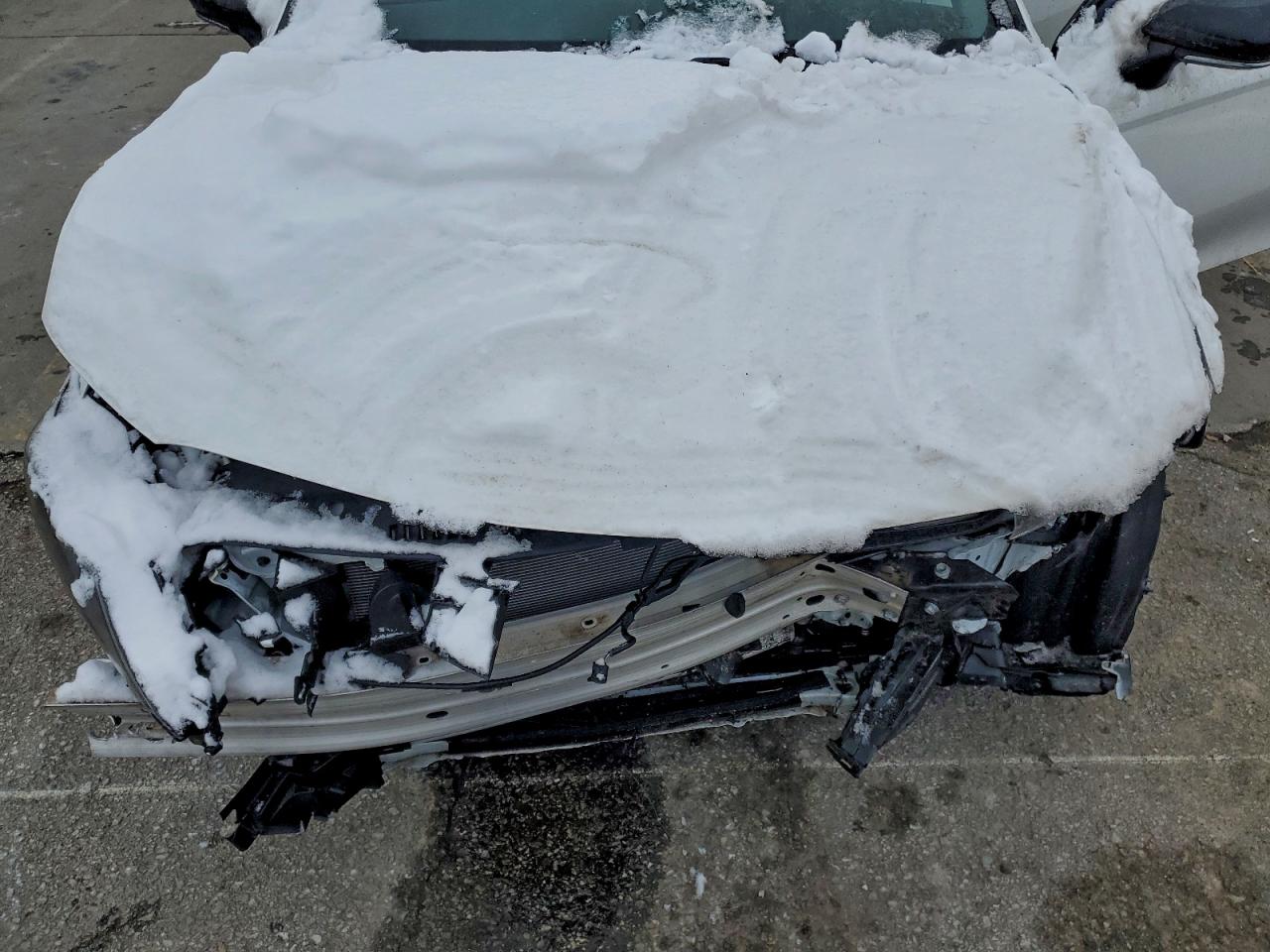 2024 Toyota Camry Se Night Shade VIN: 4T1T11AK3RU223733 Lot: 94994115