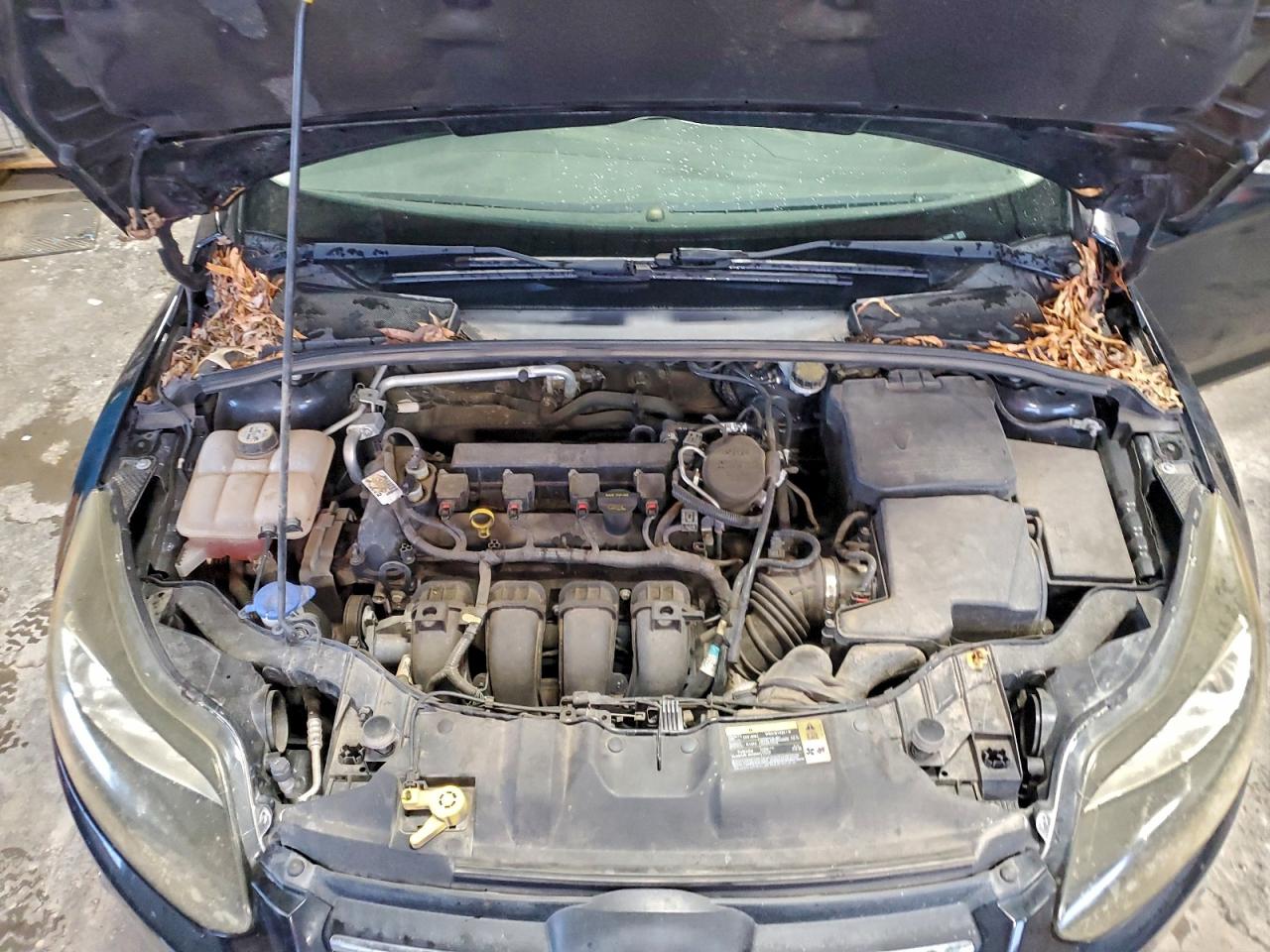 2013 Ford Focus Se VIN: 1FADP3F24DL188698 Lot: 94479105