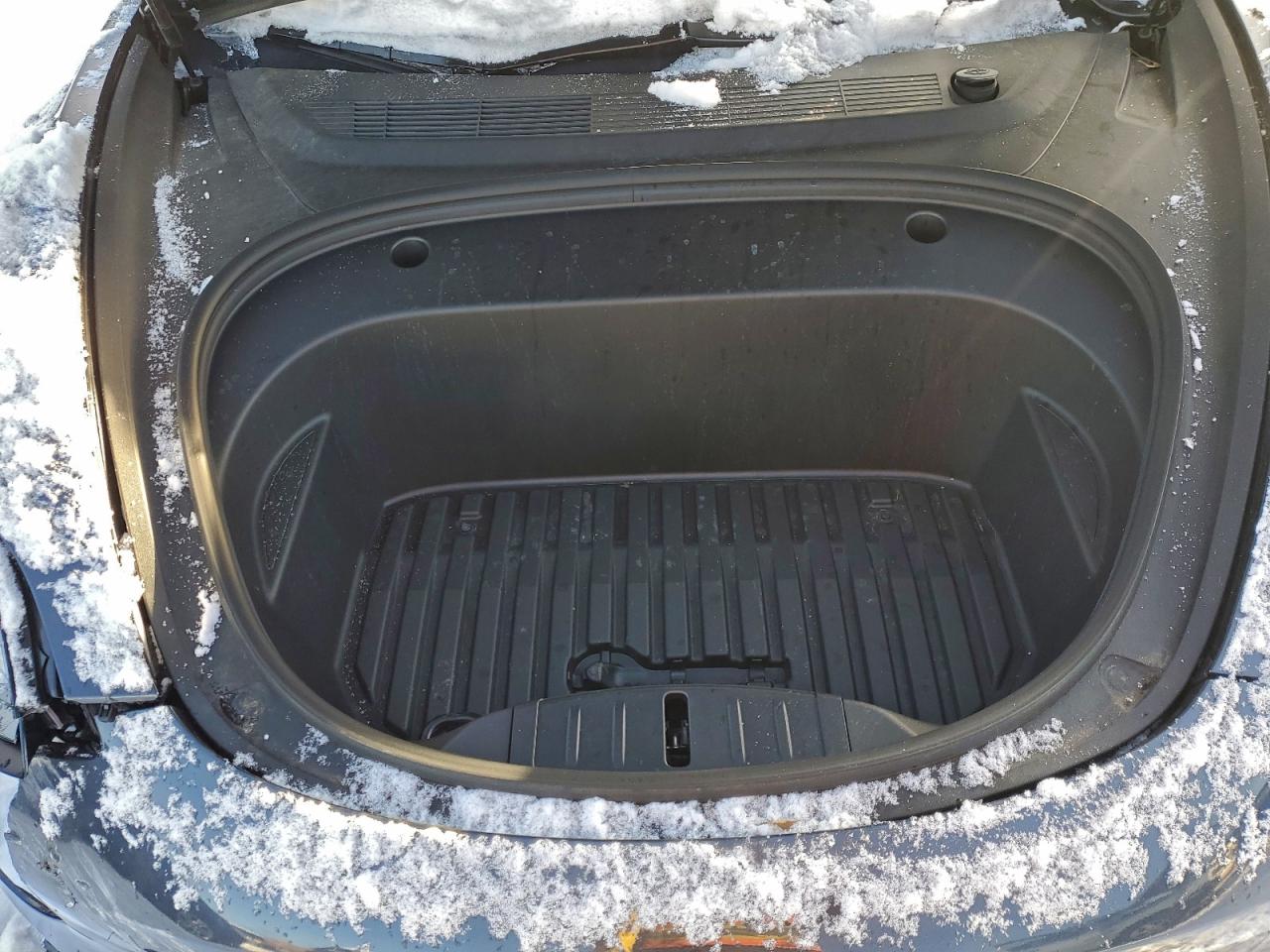 2023 Tesla Model 3 VIN: 5YJ3E1EA5PF692323 Lot: 95490865