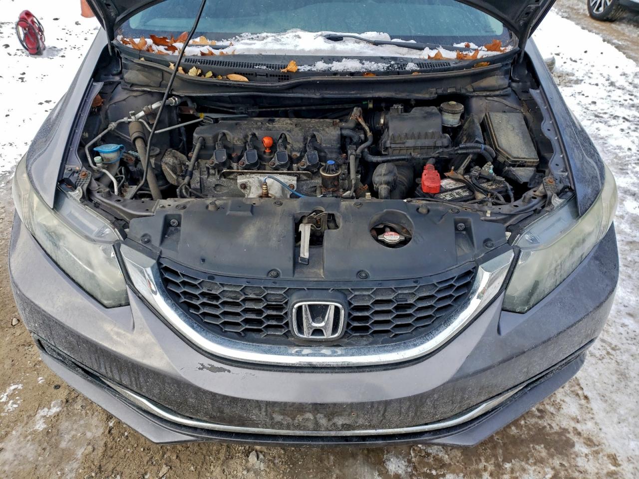 2015 Honda Civic Lx VIN: 19XFB2F58FE702473 Lot: 95217465