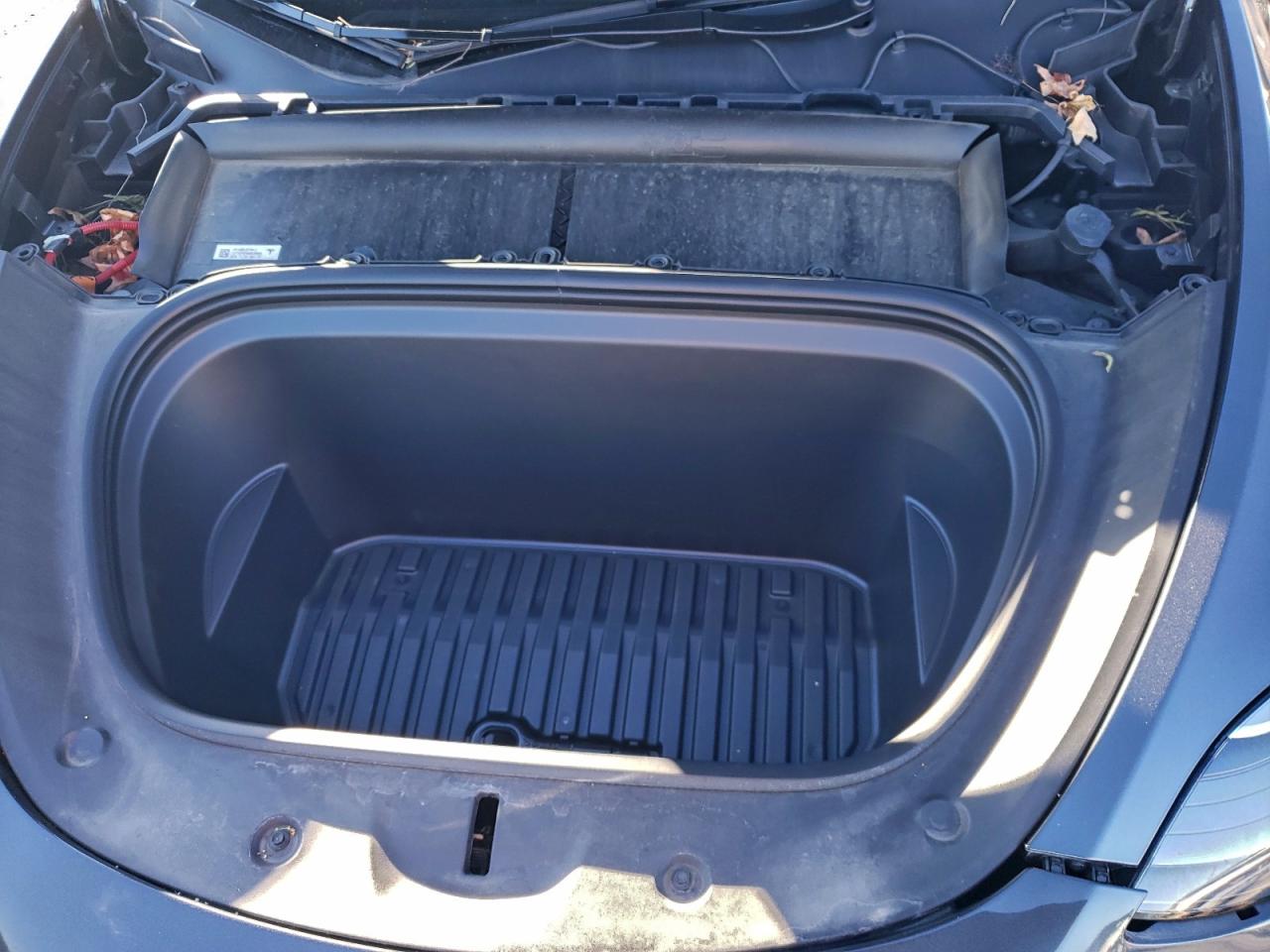 2024 Tesla Model Y VIN: 7SAYGDEE4RA236384 Lot: 94696915