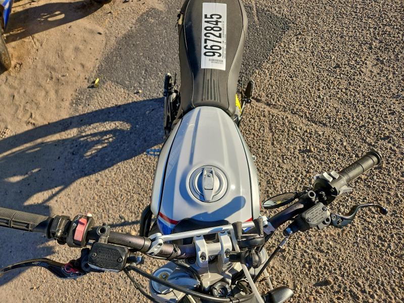 2021 DUCATI SCRAMBLER DESERT SLED  