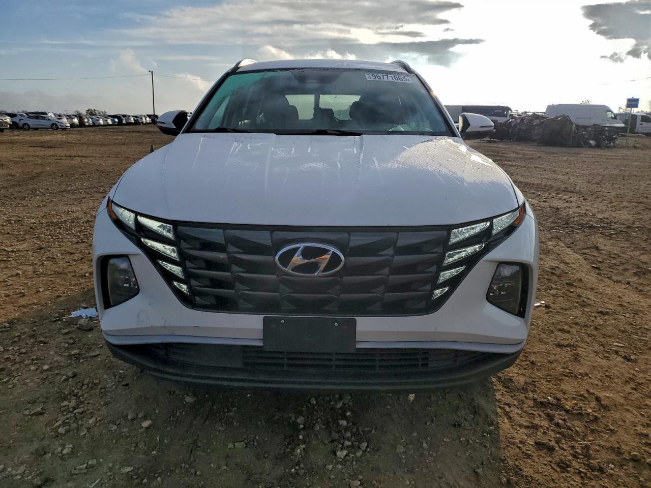 2023 Hyundai Tucson Sel VIN: 5NMJBCAE8PH204338 Lot: 96771065