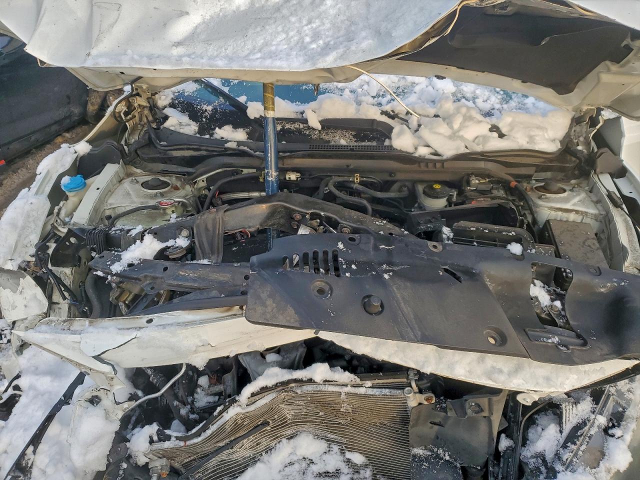 2017 Honda Civic Lx VIN: 2HGFC2F55HH517139 Lot: 94126585