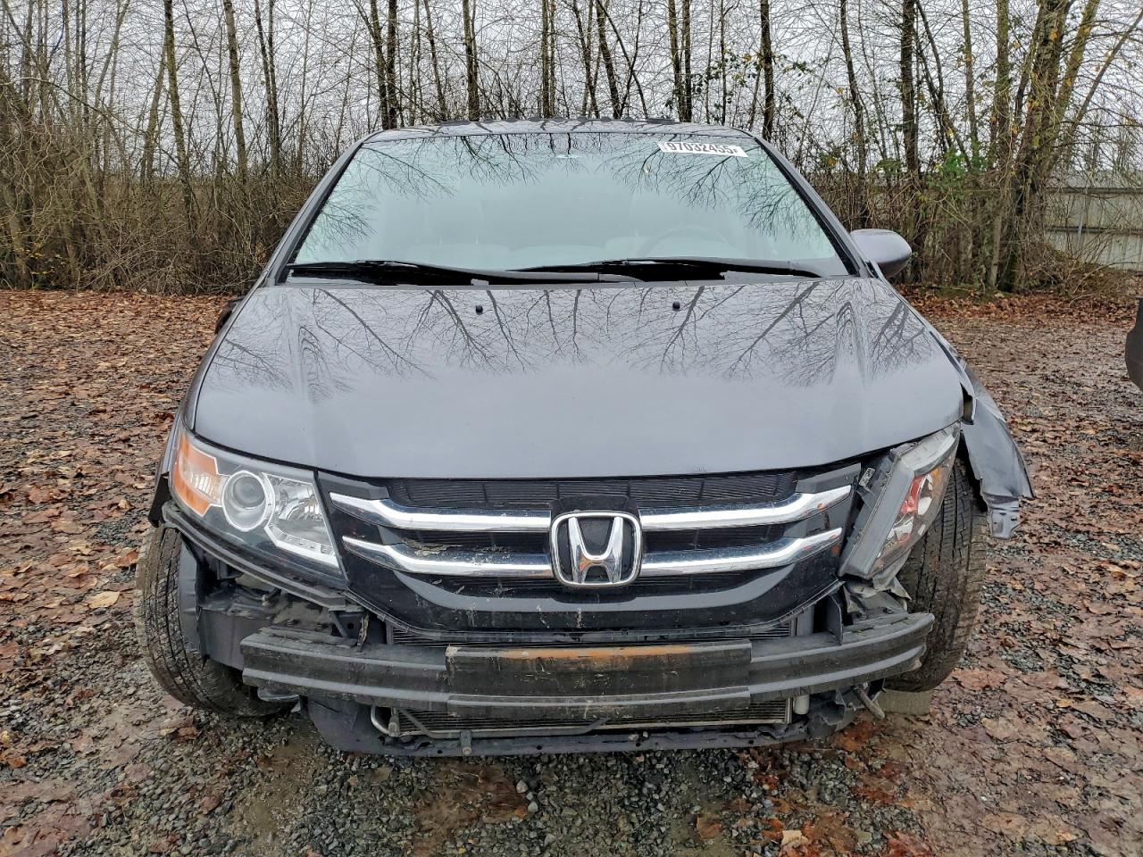 2014 Honda Odyssey Exl VIN: 5FNRL5H66EB101847 Lot: 97032455