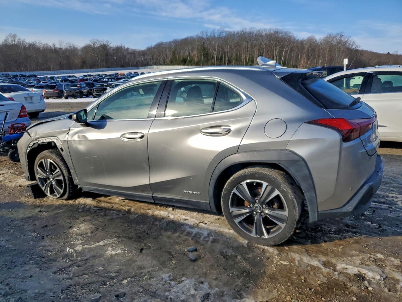 2019 Lexus Ux 250H VIN: JTHU9JBH7K2008831 Lot: 96967485