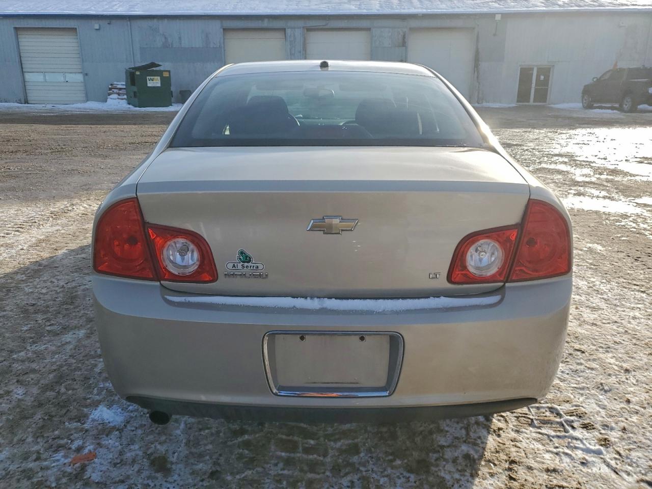 2009 Chevrolet Malibu 1Lt VIN: 1G1ZH57B29F233613 Lot: 96689755