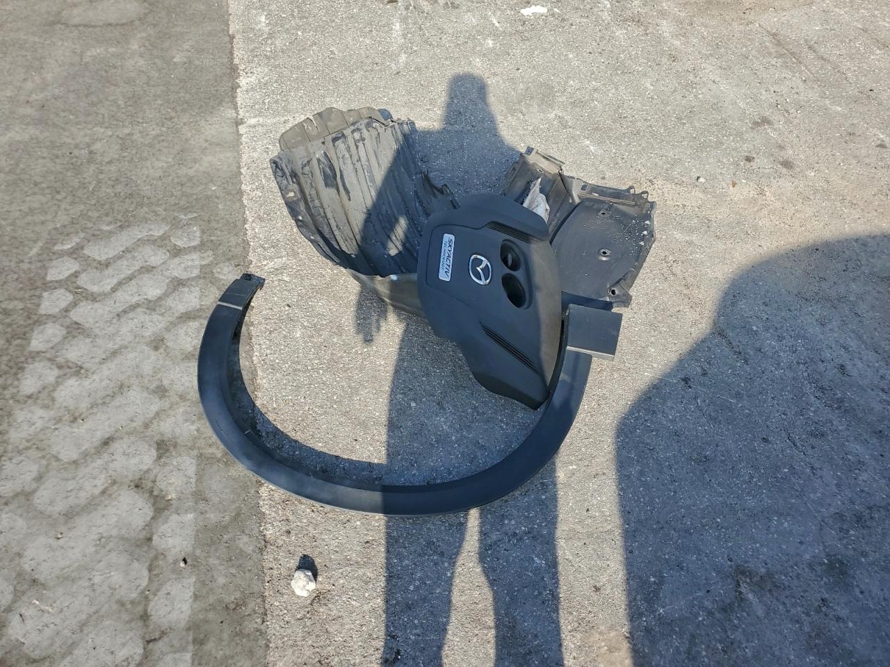 2019 Mazda Cx-9 Signature VIN: JM3TCBEY7K0313877 Lot: 95676765