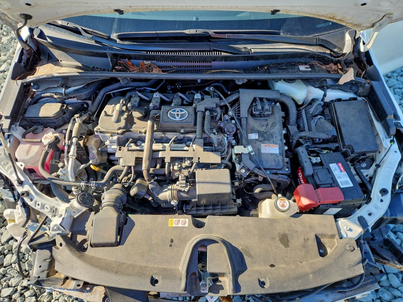 2021 Toyota Corolla Le VIN: JTDEAMDE9MJ004323 Lot: 95394285