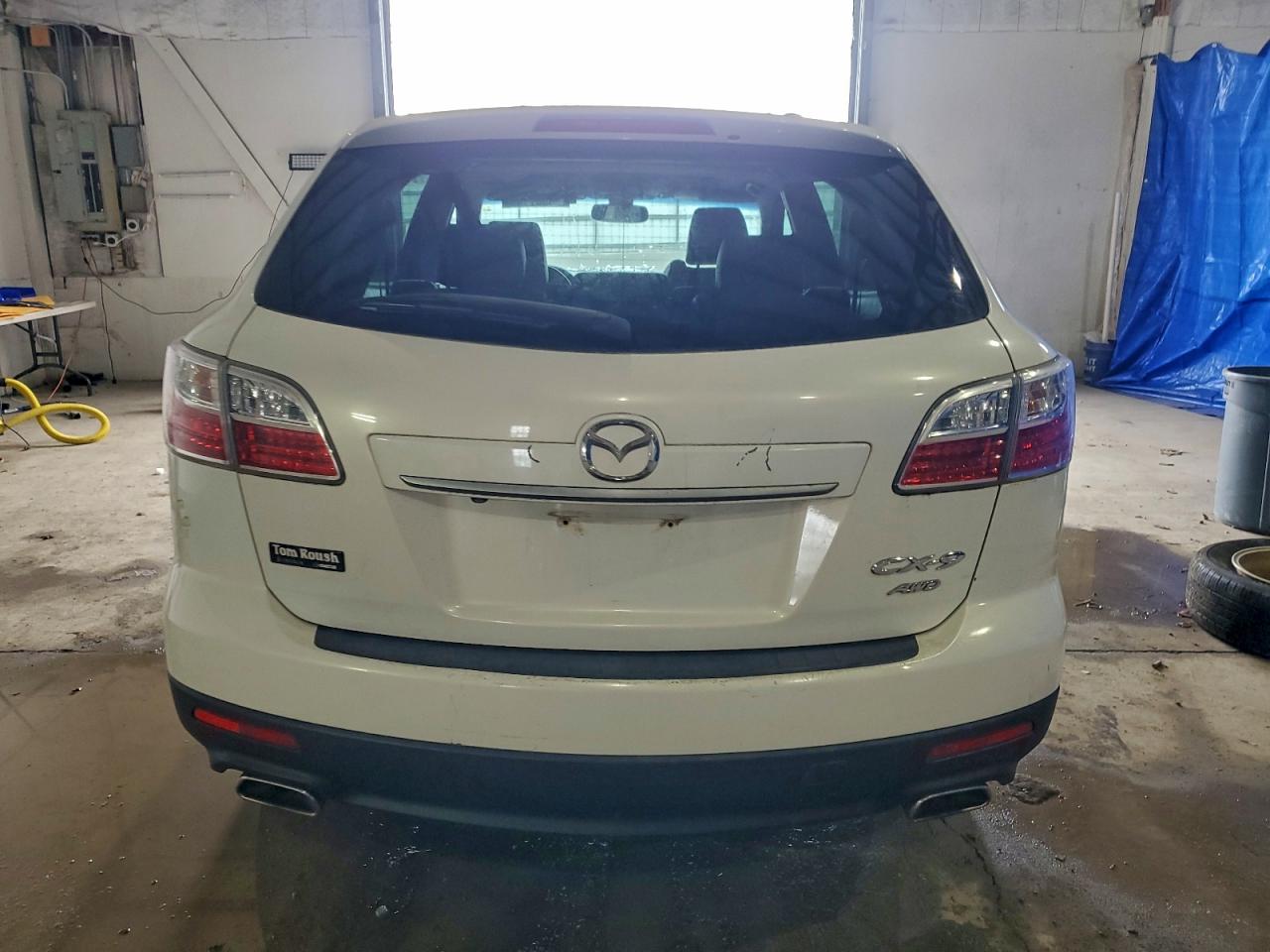 2010 Mazda Cx-9 VIN: JM3TB3MA2A0216419 Lot: 96567145