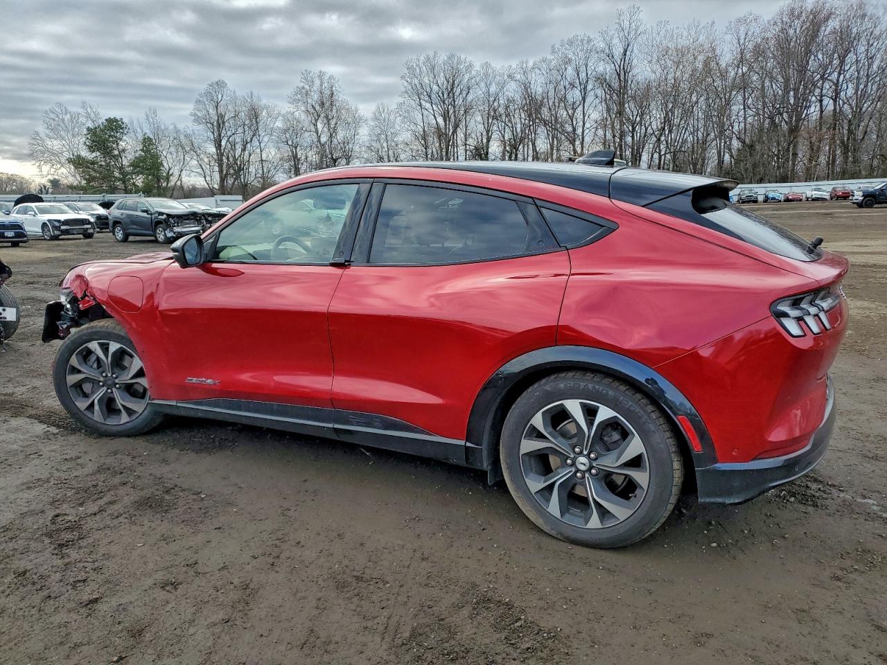 2021 Ford Mustang Mach-E Premium VIN: 3FMTK3SU2MMA26574 Lot: 97419355