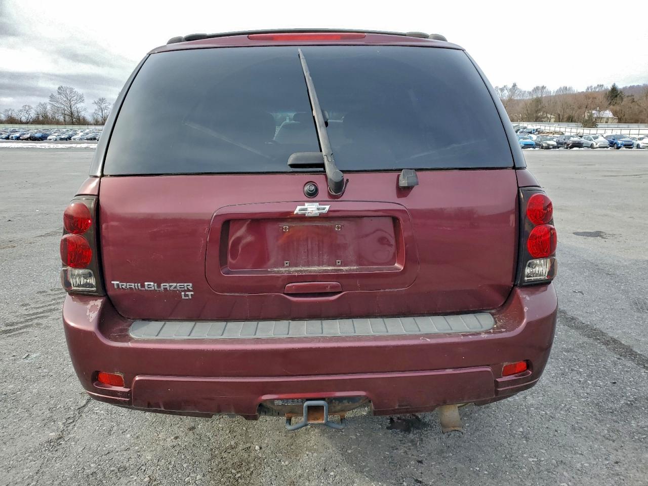 2007 Chevrolet Trailblazer Ls VIN: 1GNDT13S572197054 Lot: 95761085