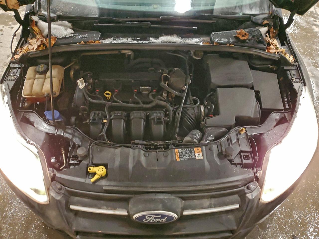 2014 Ford Focus Se VIN: 1FADP3F2XEL307047 Lot: 95142765